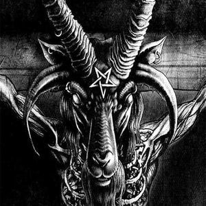 Meet your Posher, Wayne